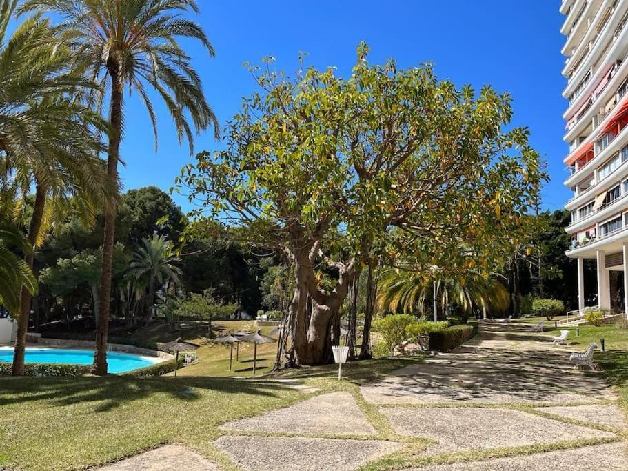 La Chicharra Apto 2 Dormit Piscina, Wifi Parking Vistas Al Mar !! Apartamento *
