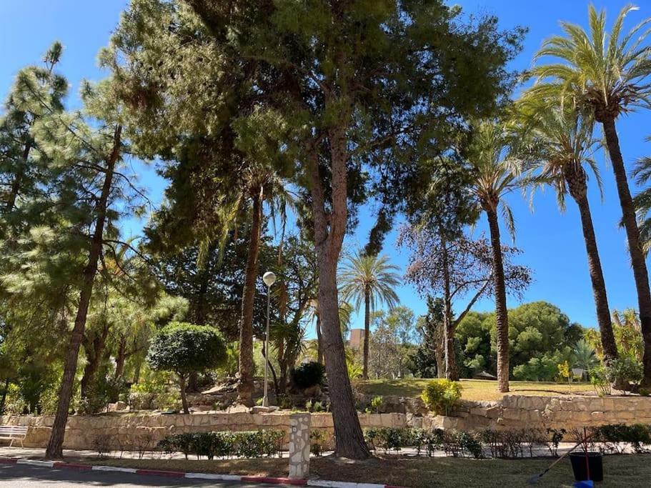 Apartamento La Chicharra Apto 2 Dormit Piscina, Wifi Parking Vistas Al Mar !!