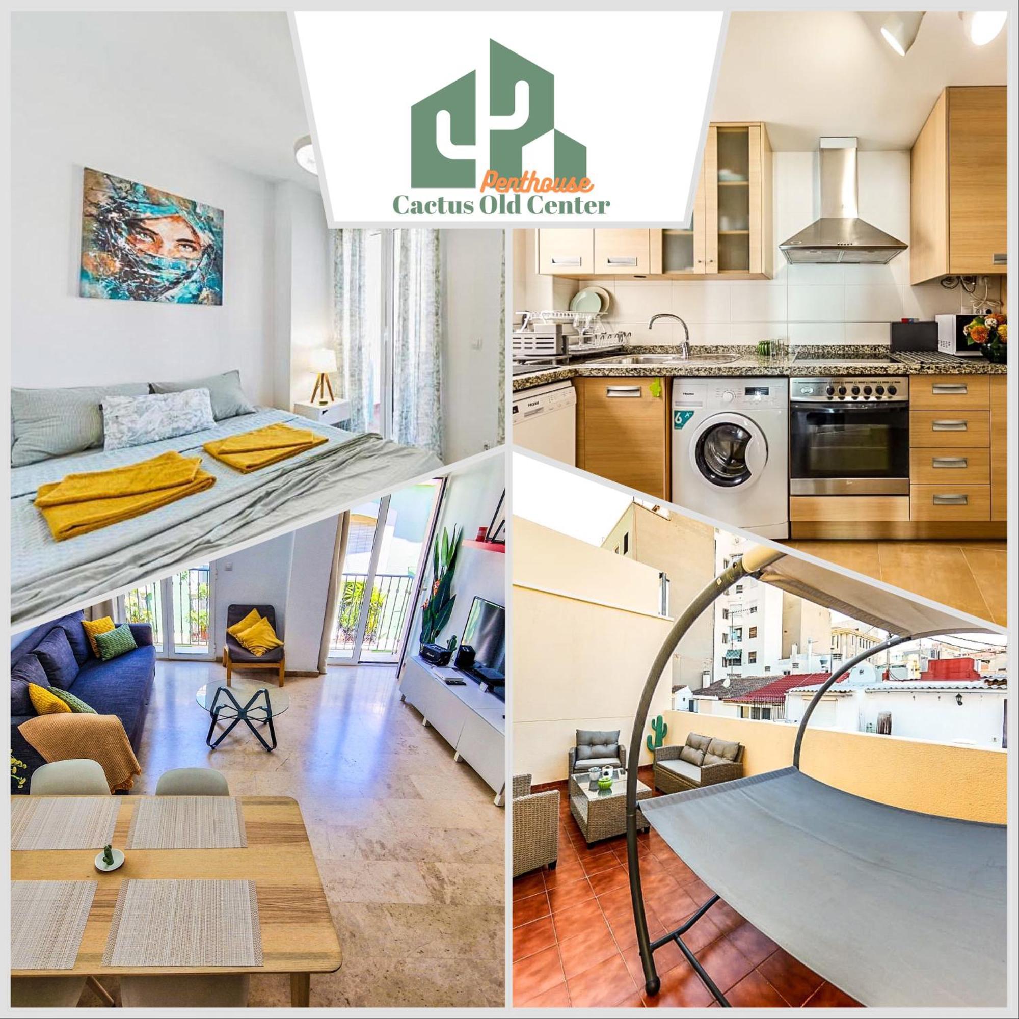 Penthouse Cactus Old Center Appartement Alicante