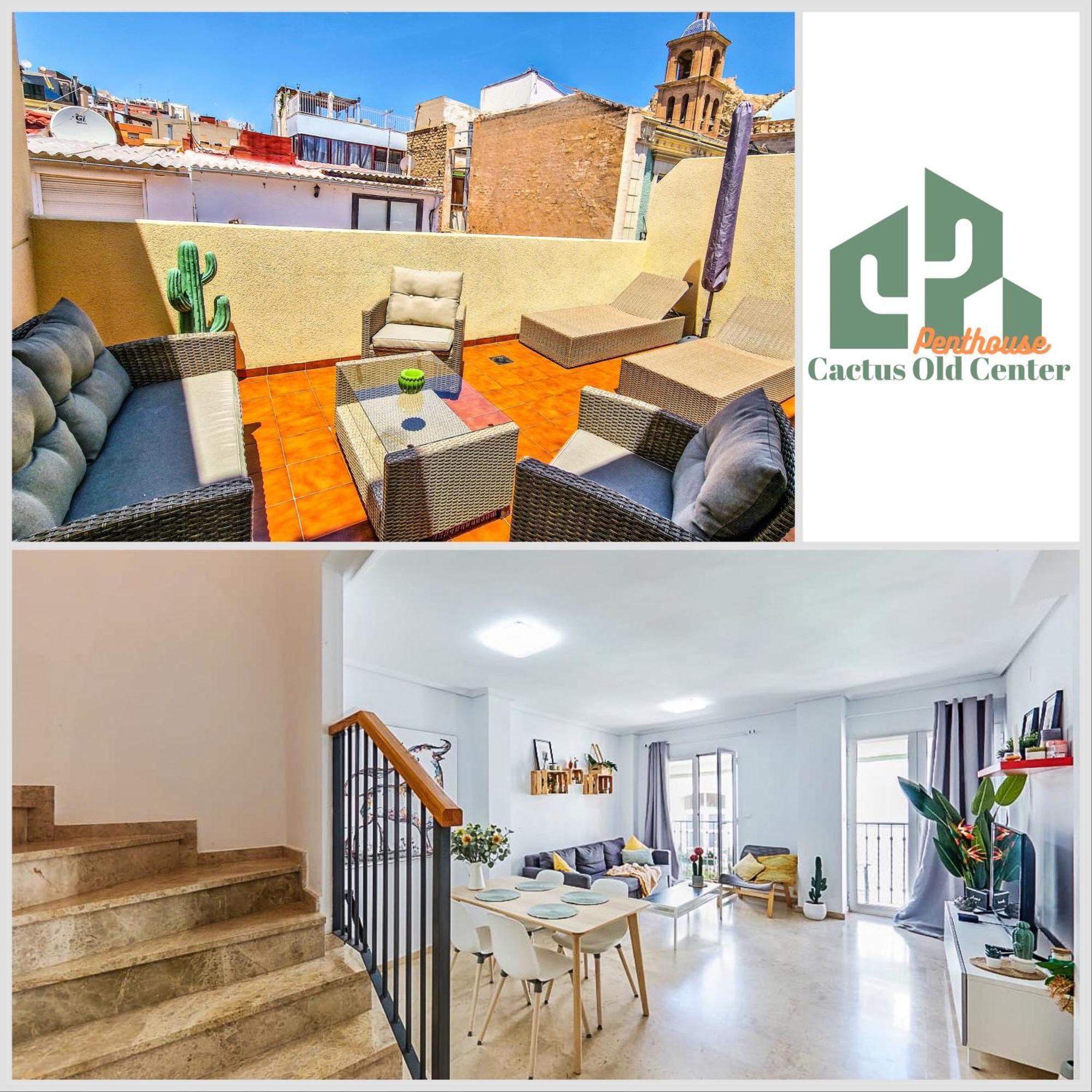 Appartement Penthouse Cactus Old Center *