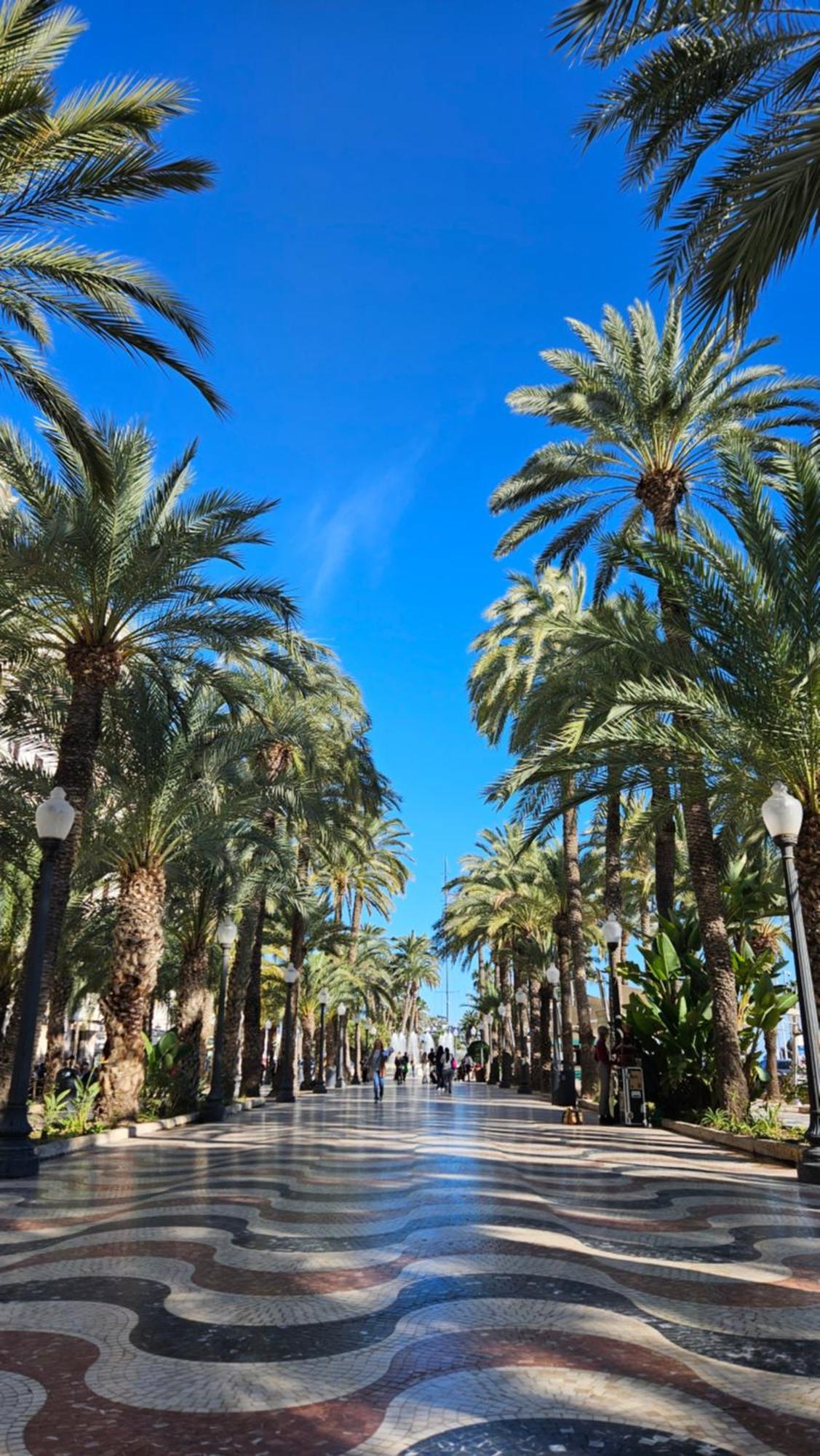 Huoneisto Your In Alicante