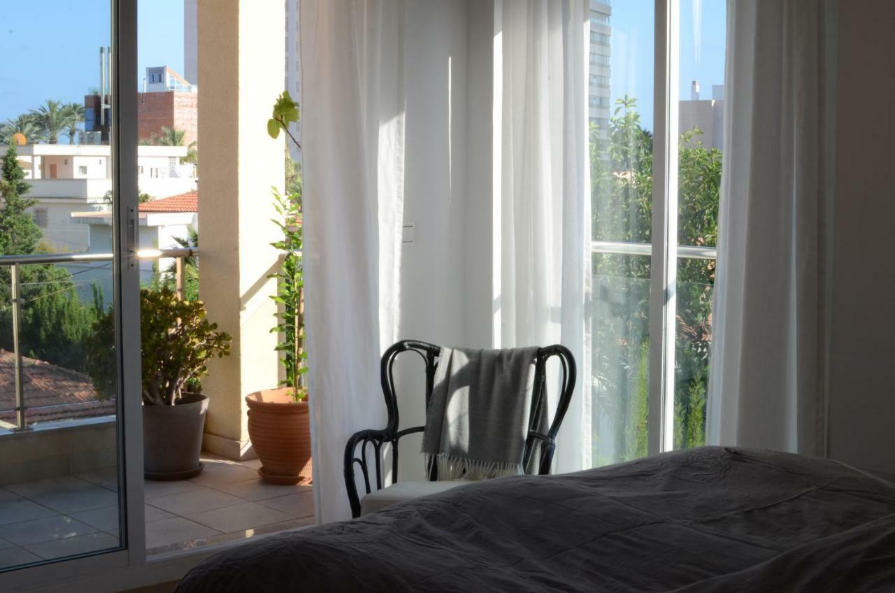 Hispamar * Alicante