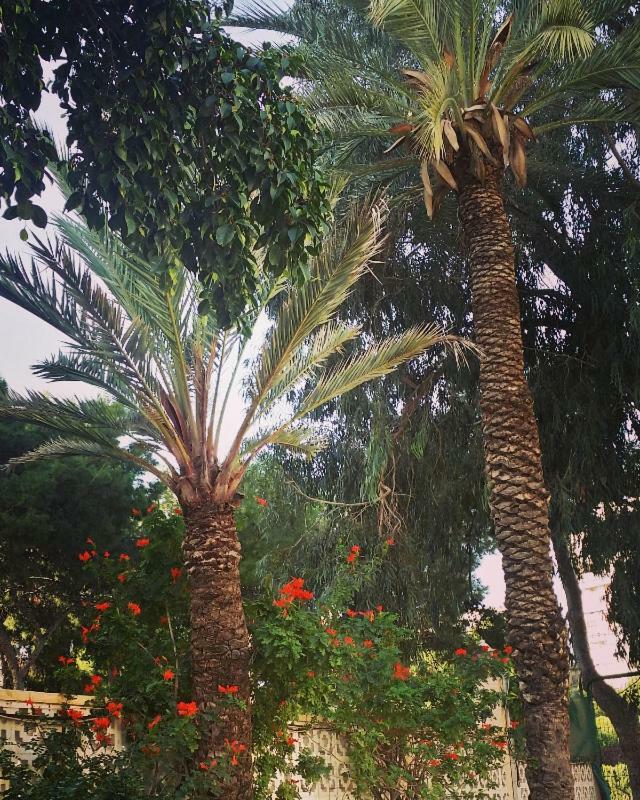 Sun & Beach Carivoguest Alicante