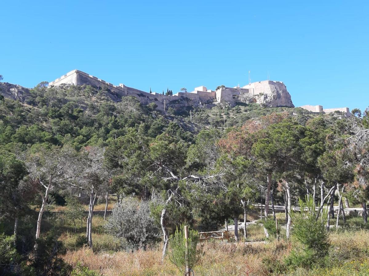 Grande - Castillo Santa Barbara *