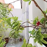 El Patio