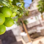 Apartament Lemon Paradise