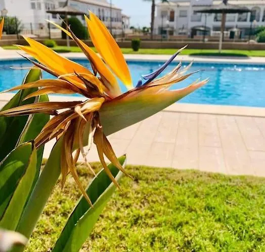 Punta Prima Flat With Private Roof Terrace