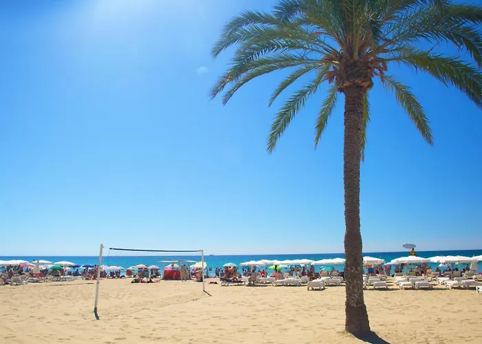 Hb Apartments - Mercado Central - Rambla Alicante - La Suite De La Playa
