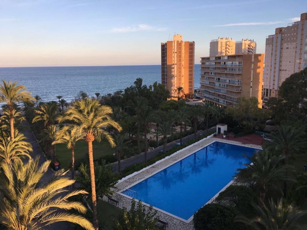 Muchavista Vu Piscine ,wifi Apartment Alicante