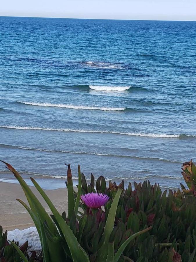Playa Flamenca Splendid On The Alicante