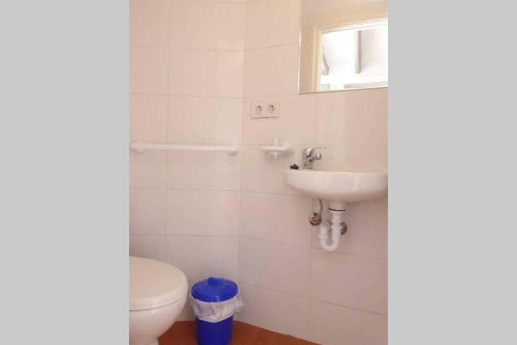 The Secret Garden Holiday home Alicante