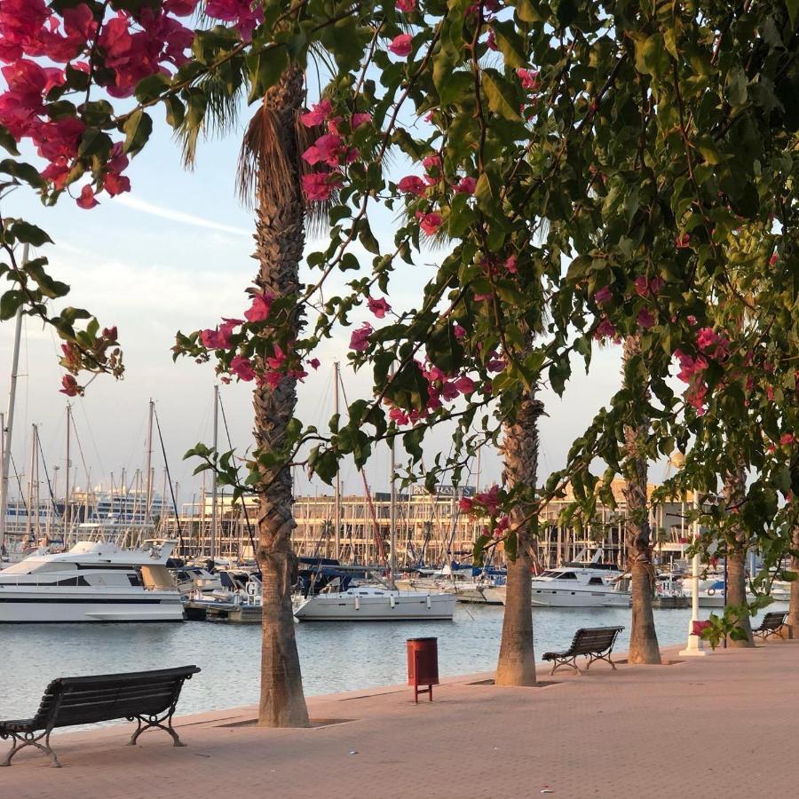 P-3- комната в квартире для 1 человека в центре Homestay Alicante