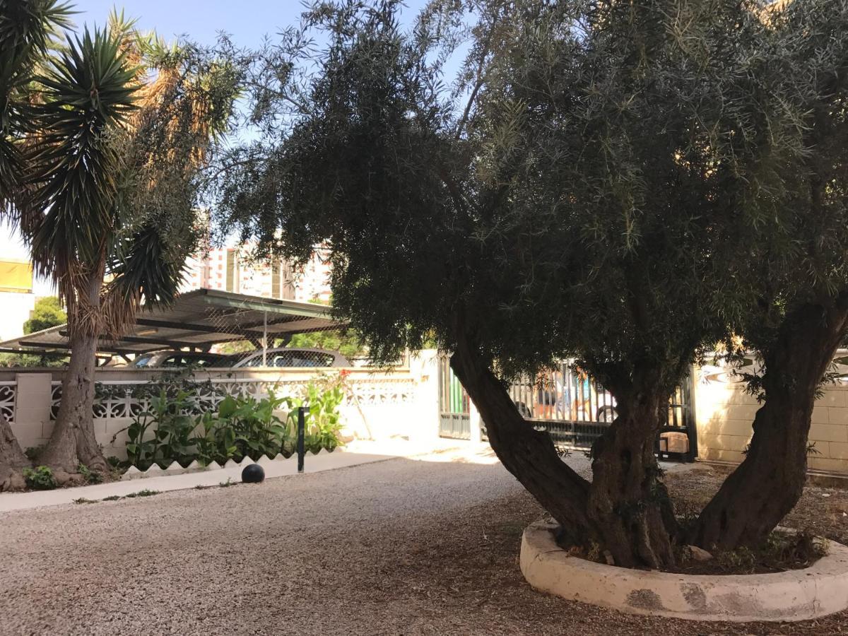 Apartment En La Playa - Alicante, Costa Blanca - Olivos *