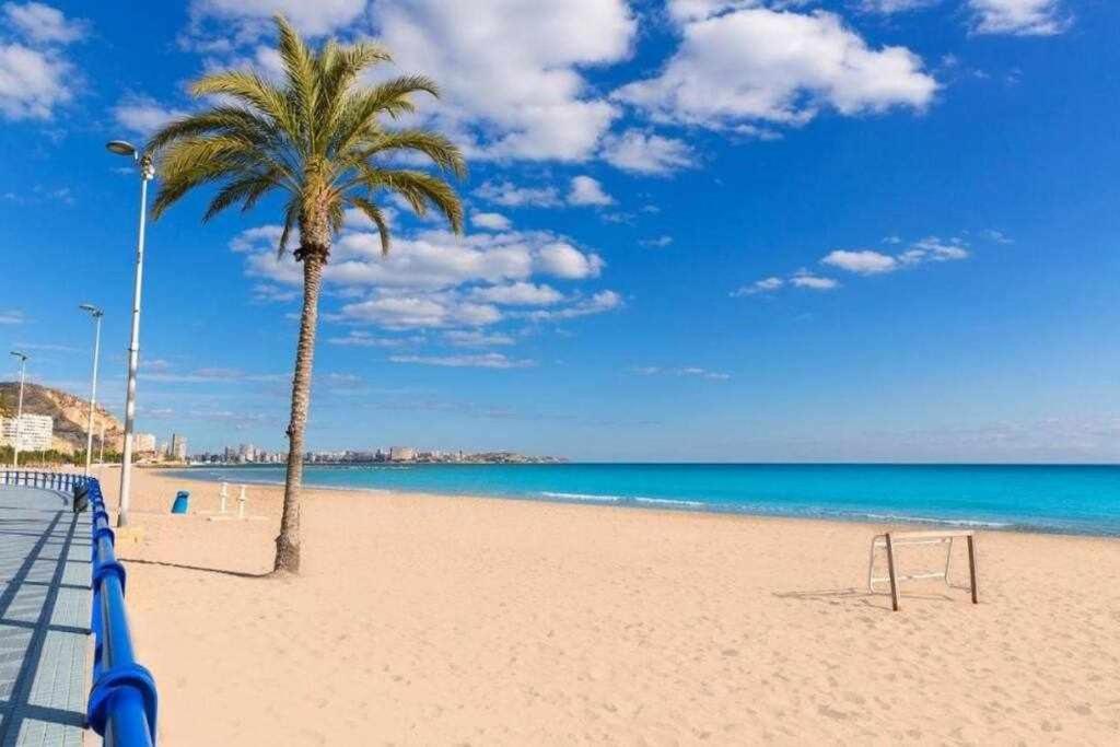 Casco Antiguo3 Minutos De La Playa Appartement Alicante