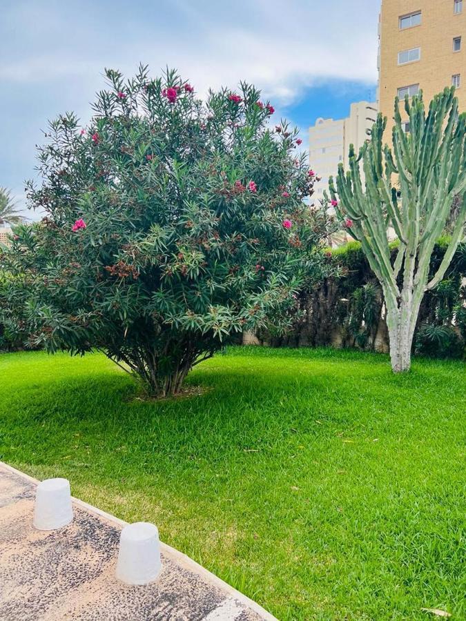 Acogedor Apartamento En Playa San Juan Huoneisto *