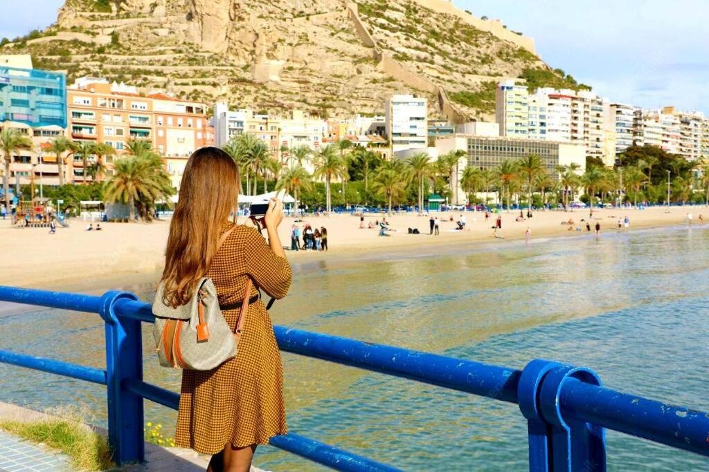 En Zona De Ocio Casco Antiguo Alicante