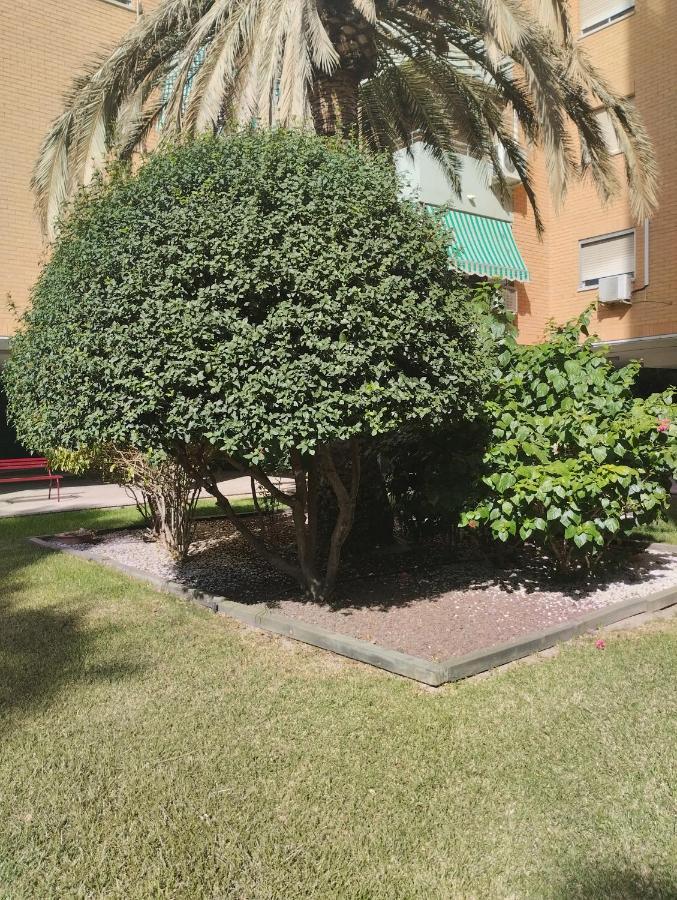 Apartamento Manchini Rosaleda * Alicante