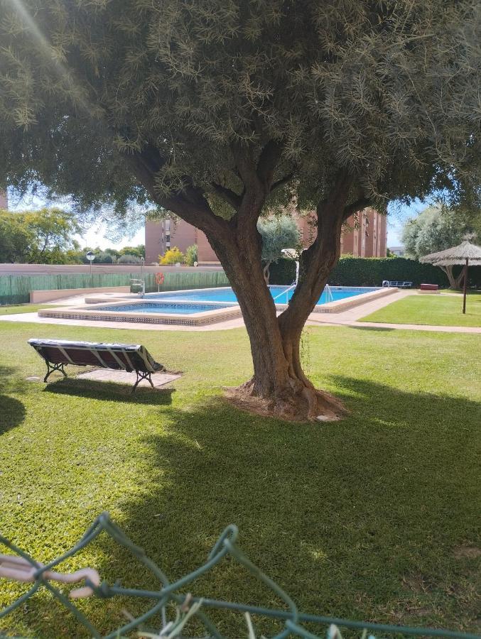 Apartamento Manchini Rosaleda Apartment *