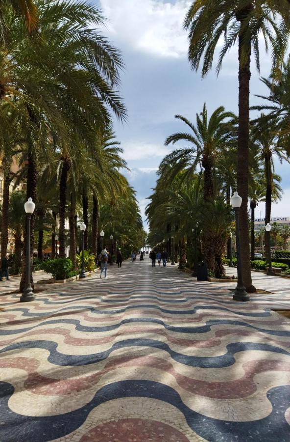 Modern,cozy And Centric Next To * Alicante