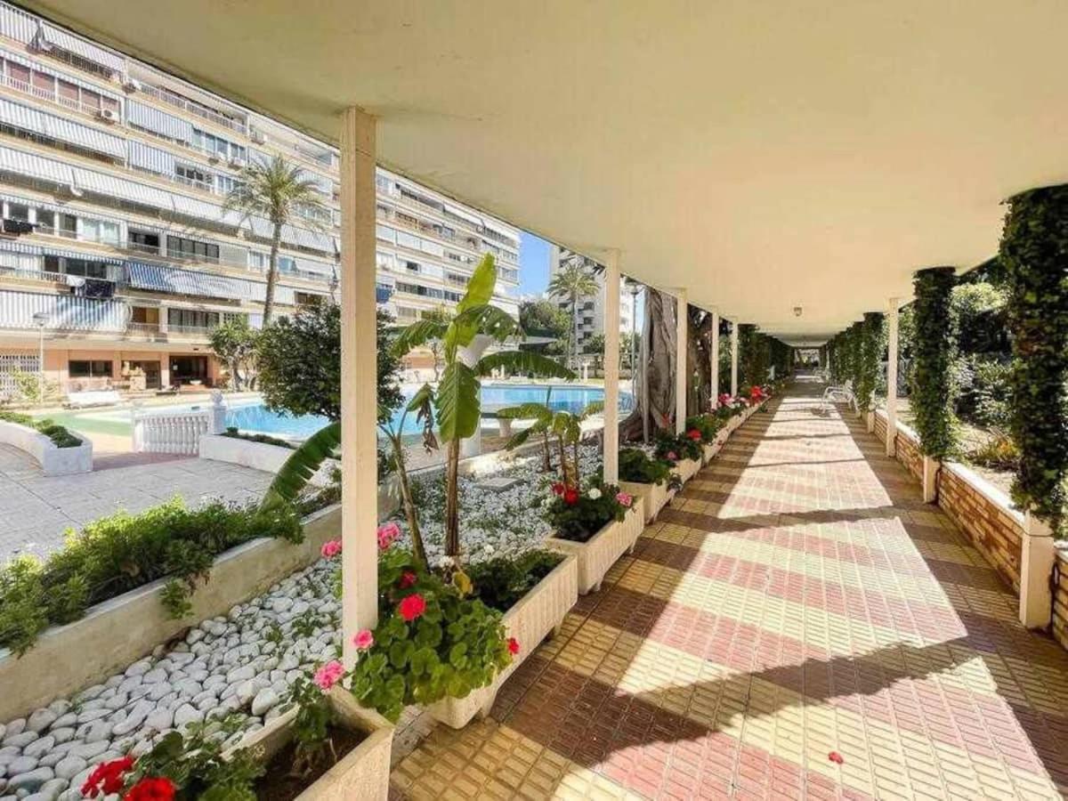 Muy Luminoso, Con Piscina Y A 5 Min De La Playa. * Alicante
