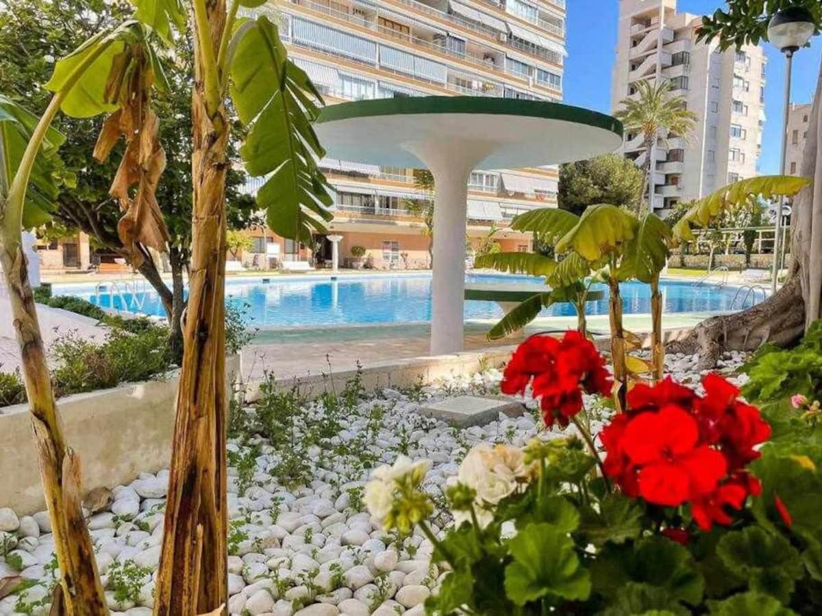 Muy Luminoso, Con Piscina Y A 5 Min De La Playa. Appartement Alicante