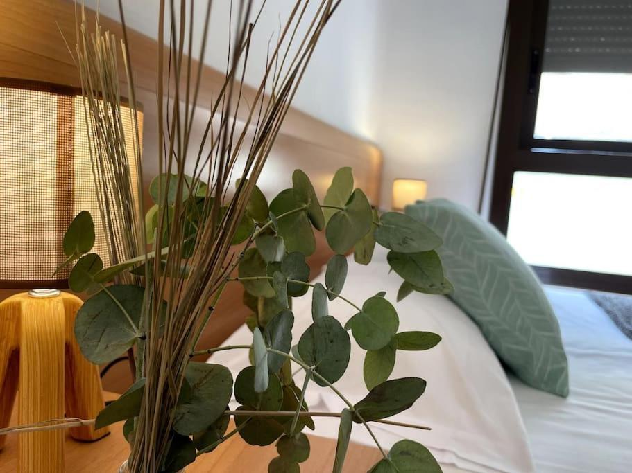 Taima Flats 3 * Alicante