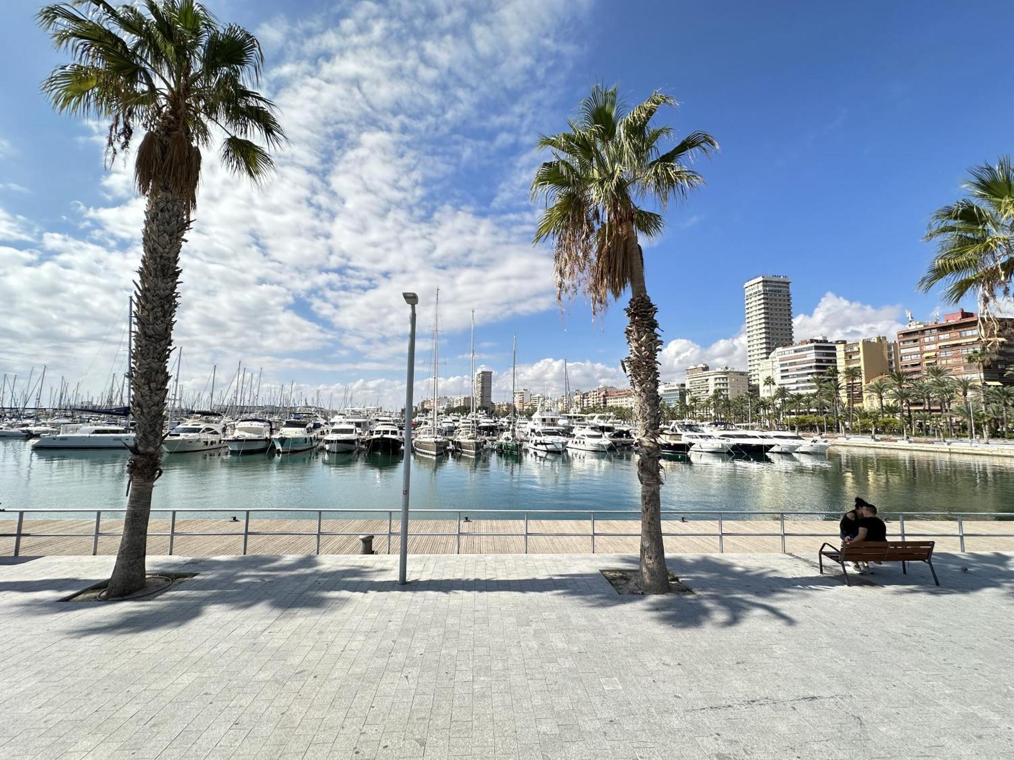 Apartment Donoso Cortes - *