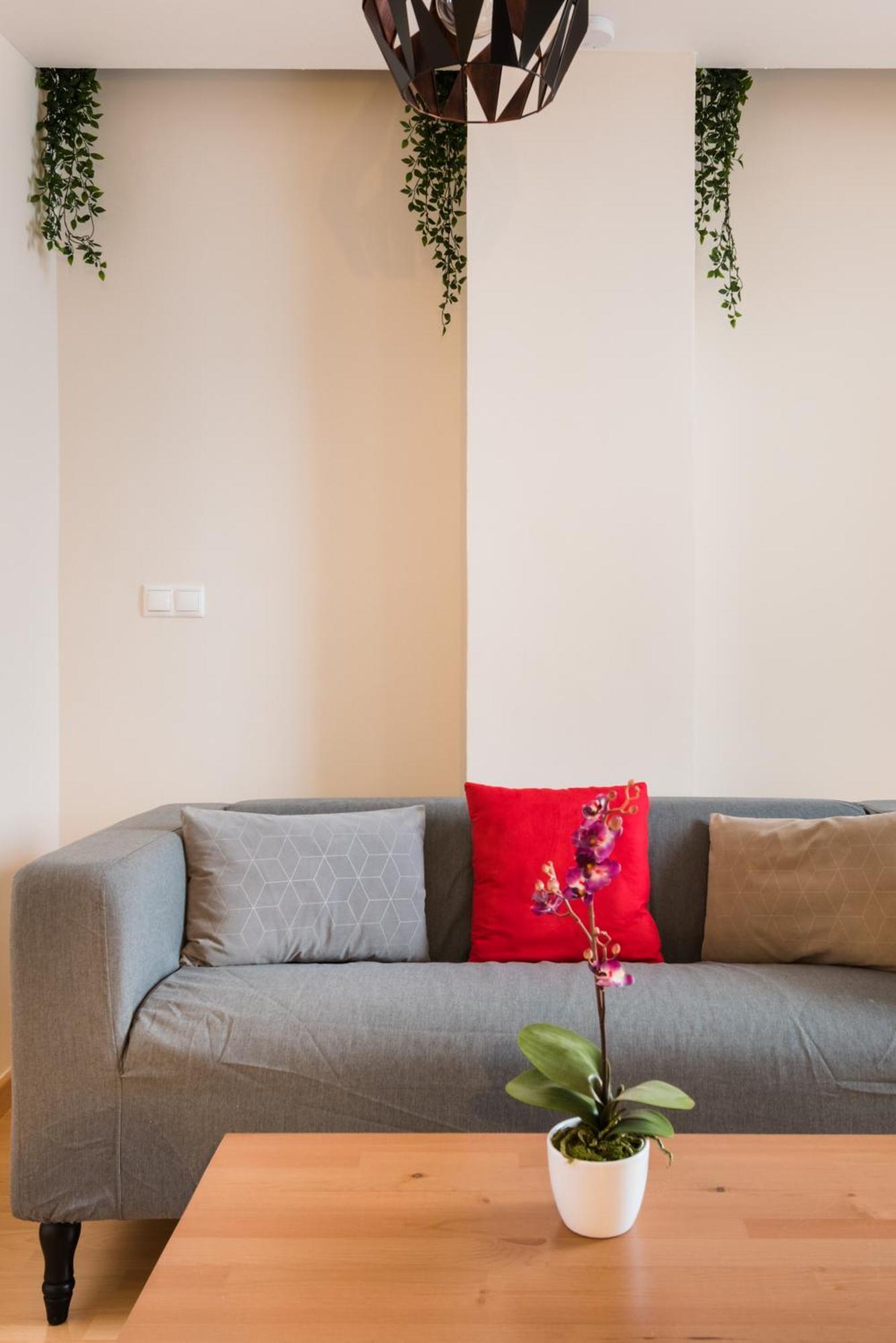 Desconecta Junto Al Mercado De Appartement Alicante