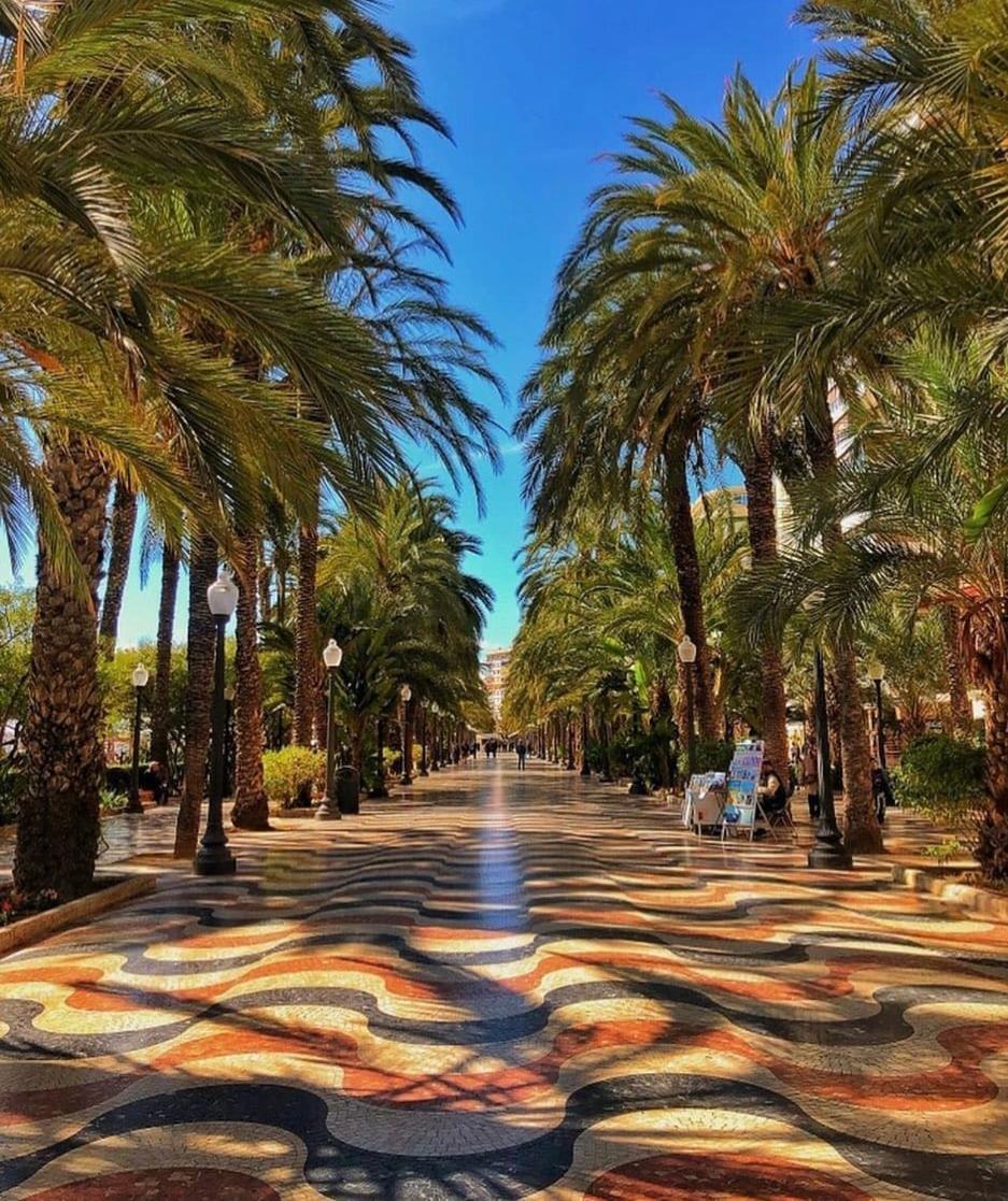 Appartement Desconecta Junto Al Mercado De Alicante