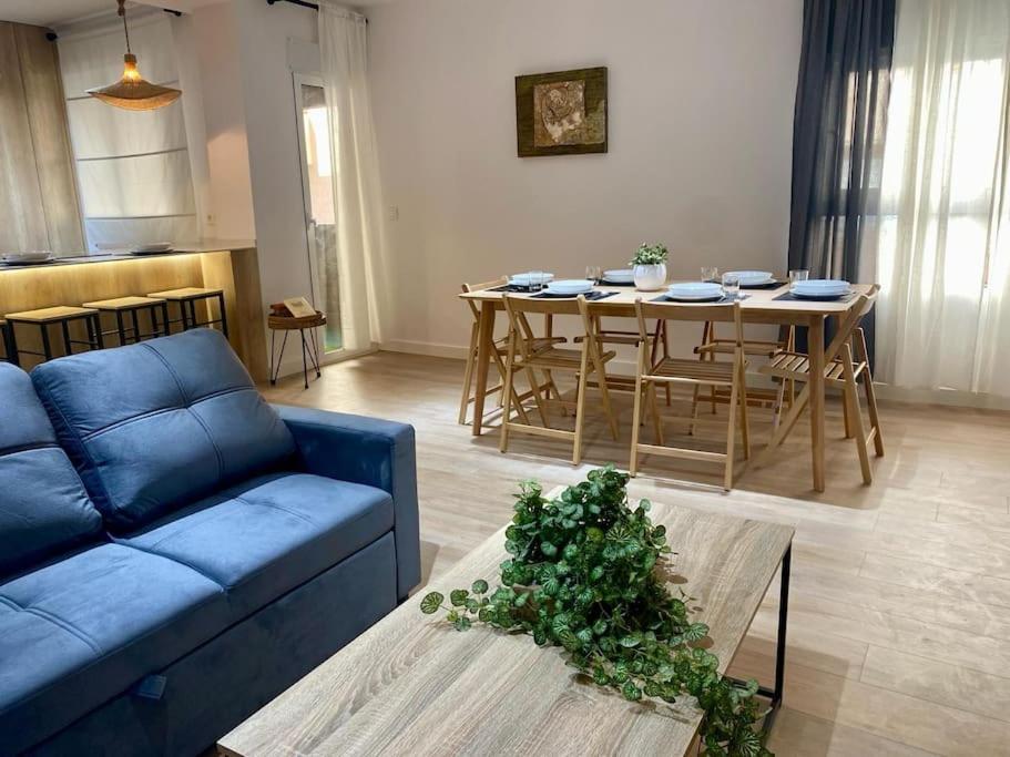 Apartment Pintor Cabrera Centro