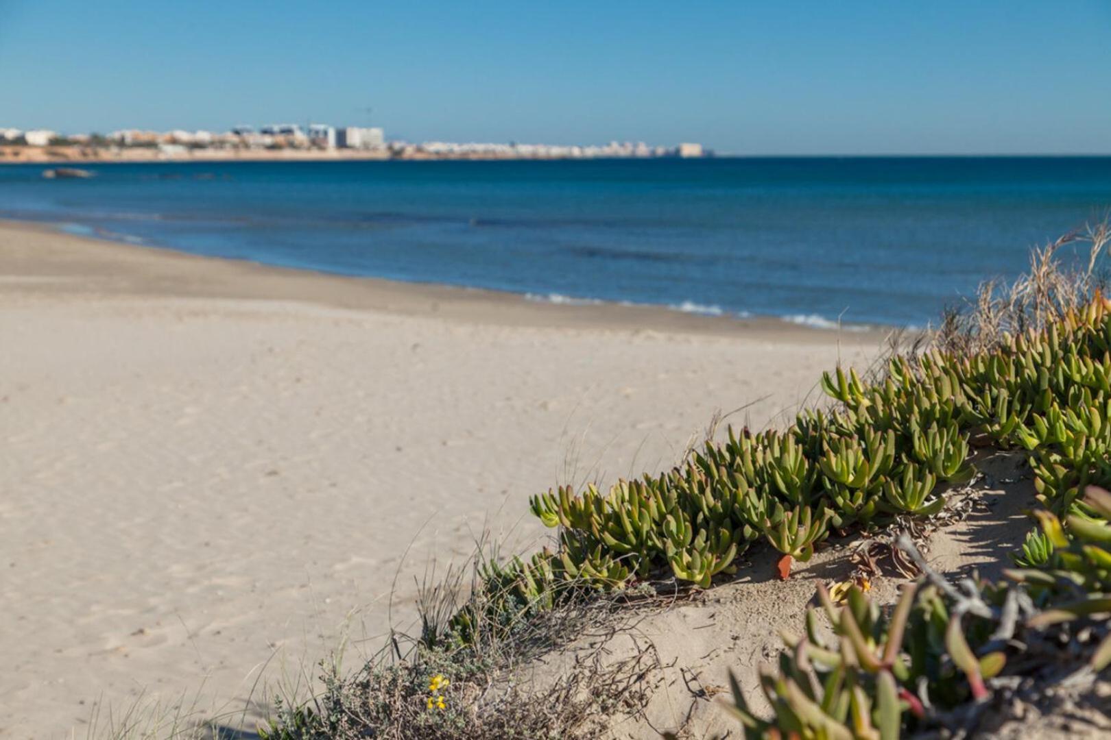 Appartement Perla Ii Alicante