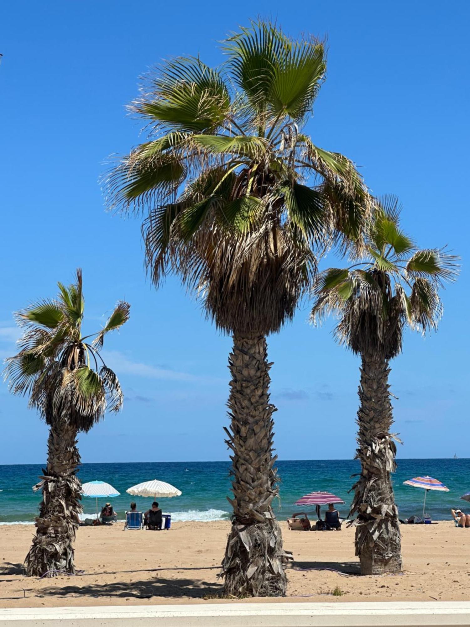 Ferienhaus Casitas Del Mar Alicante