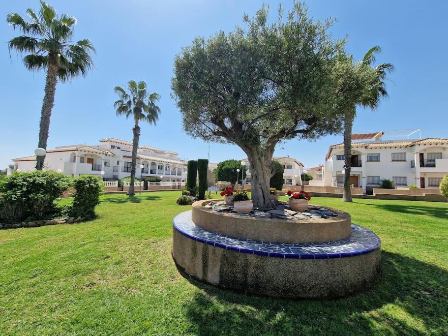 Punta Prima Flat With Private Roof Terrace