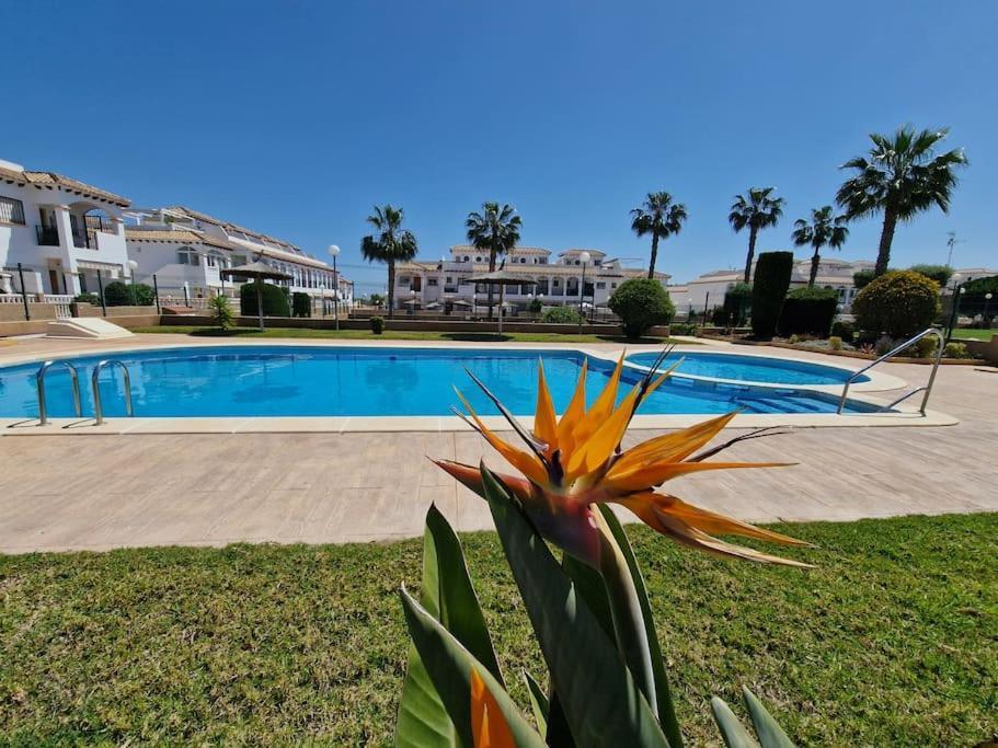 Punta Prima Flat With Private Roof Terrace Apartment *