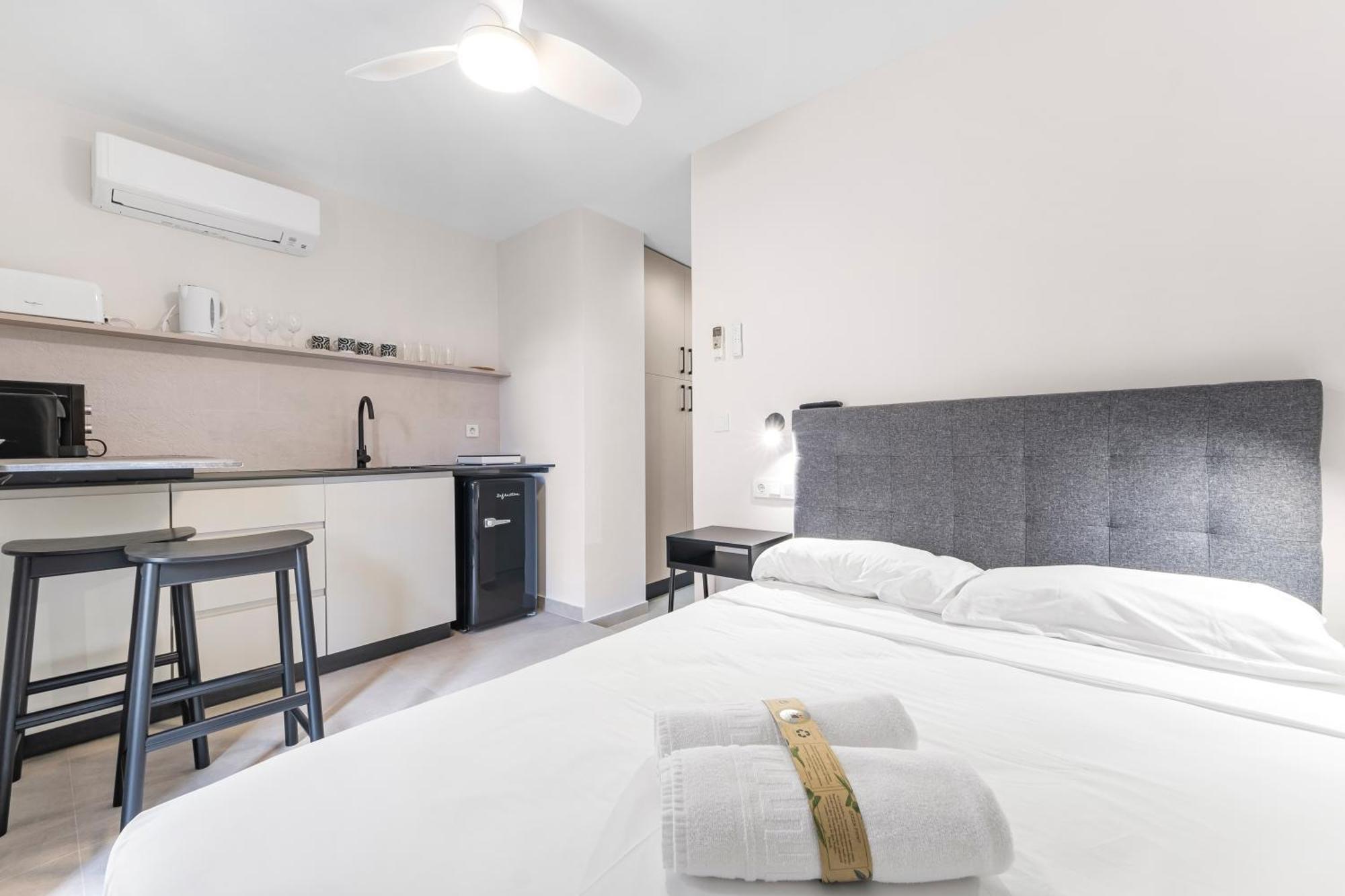 Lovely Loft Toledo Apartment