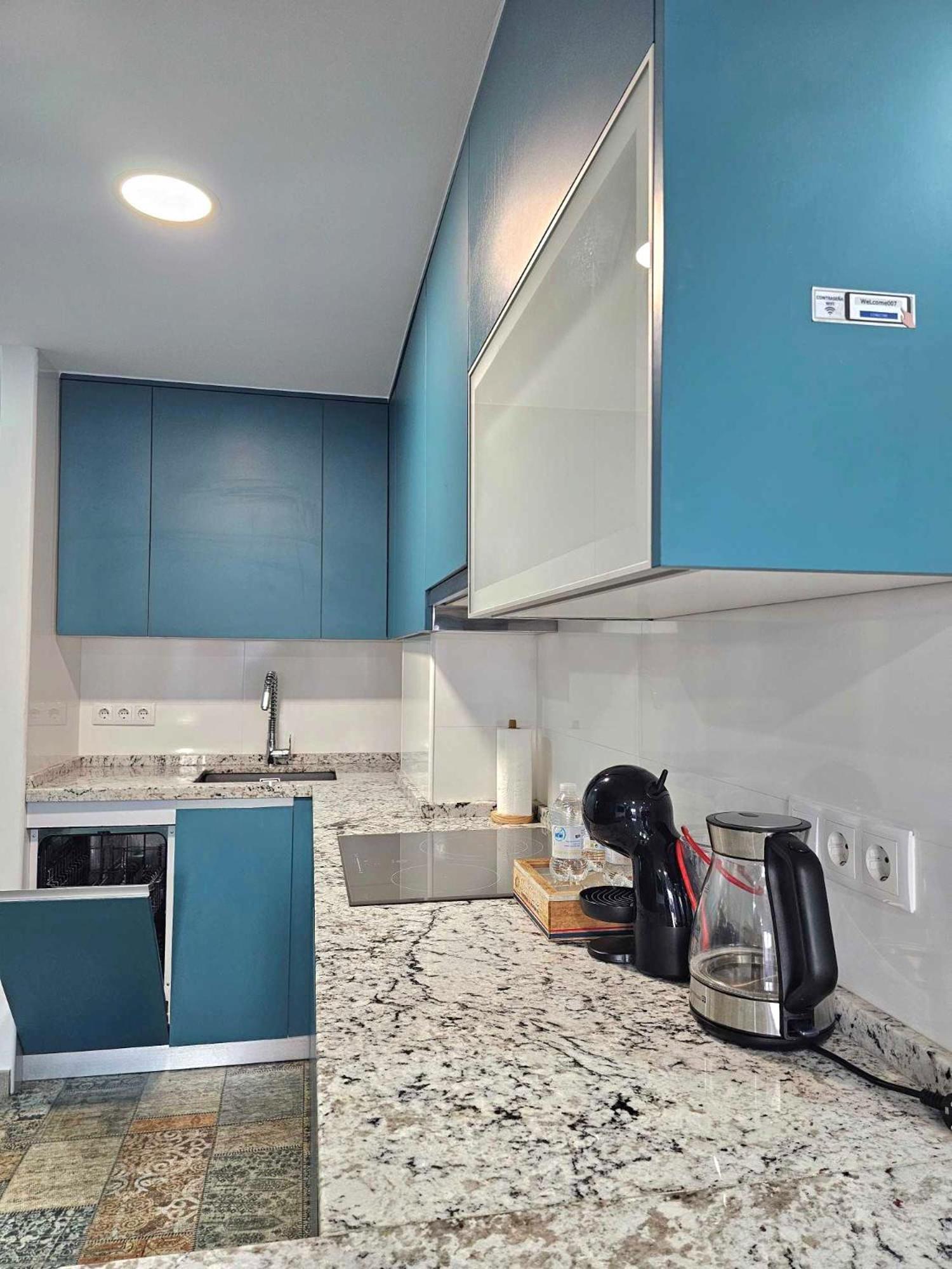 Apartment Suncastle -with Sunny Rooftop Terrace And Barbecue Alicante