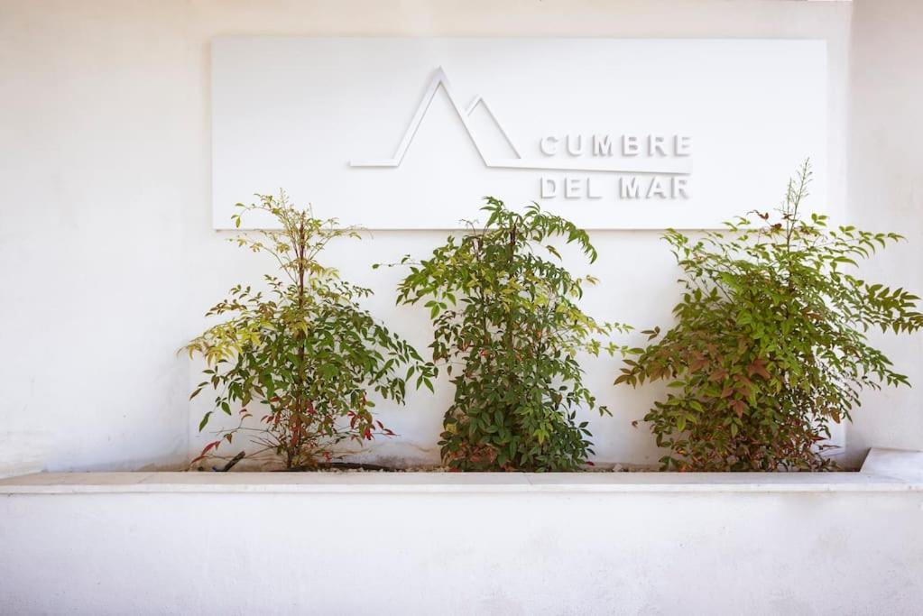 Apartment Modern Muchavista *