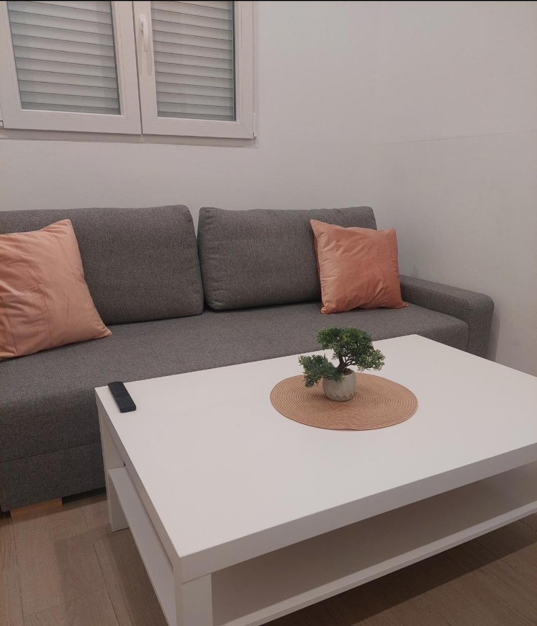 Cactus22 Appartement