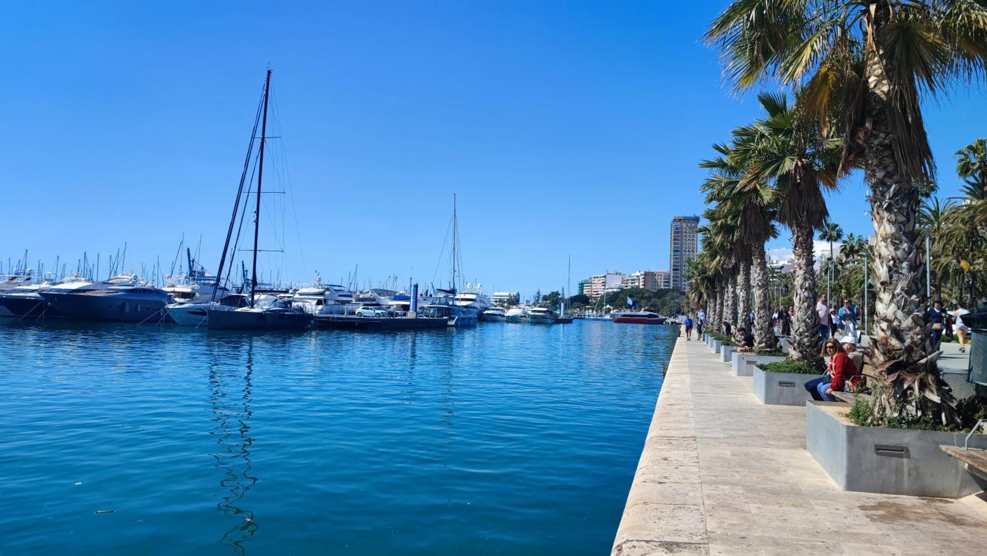 Big Alicante
