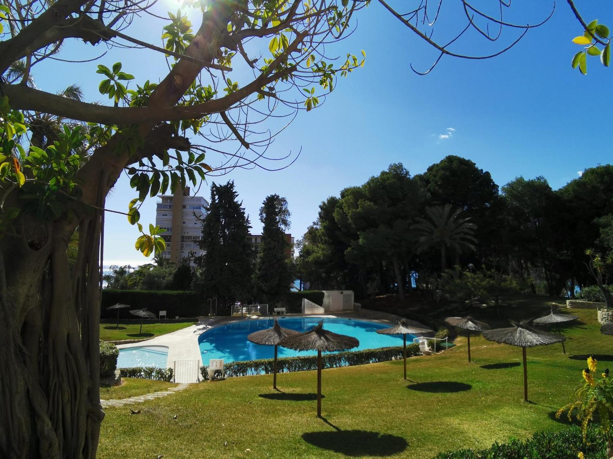 Apartment Oasis Frente Al Mar, Albufera, *