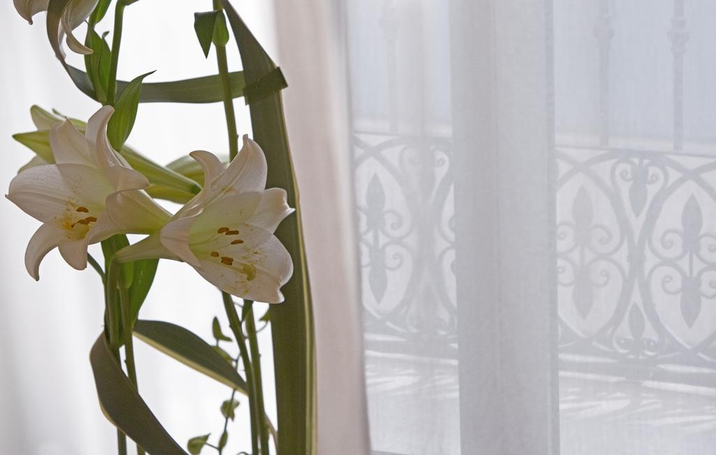 Hospes Amerigo, Alicante, A Member Of Design Hotel 5*