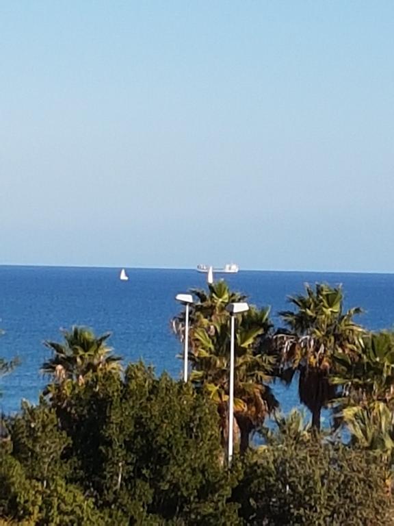 Dream Away Alicante *