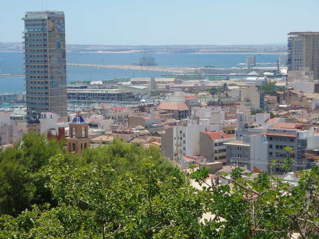 Estudio Centro Alicante