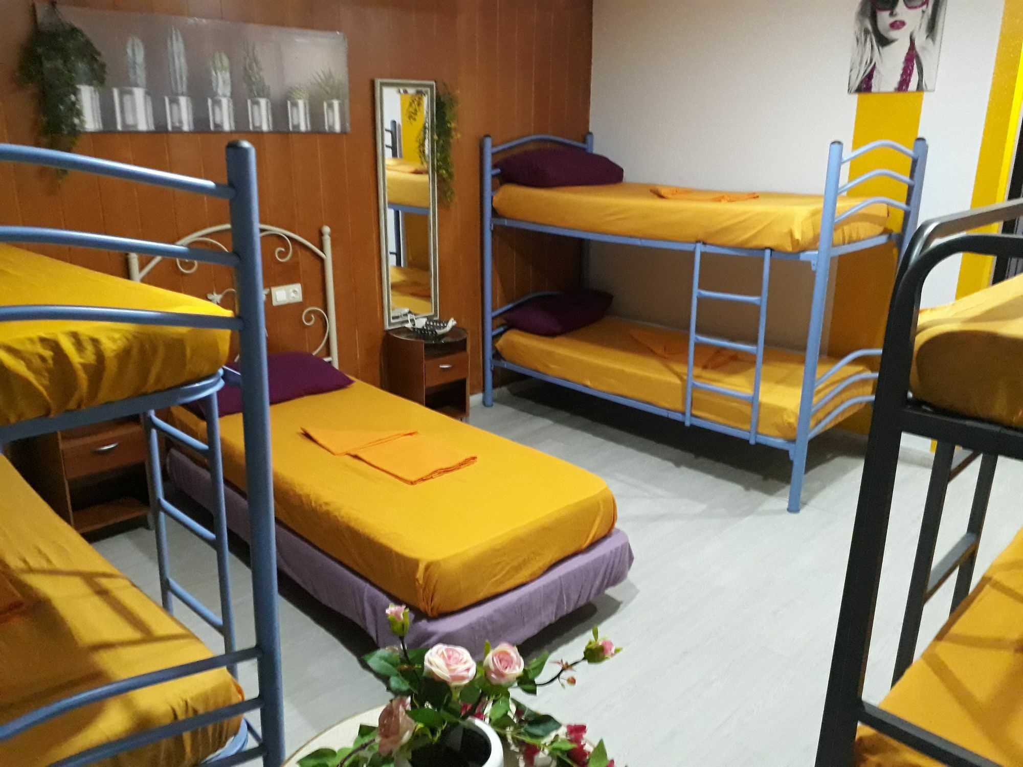 Hostel Mayor *