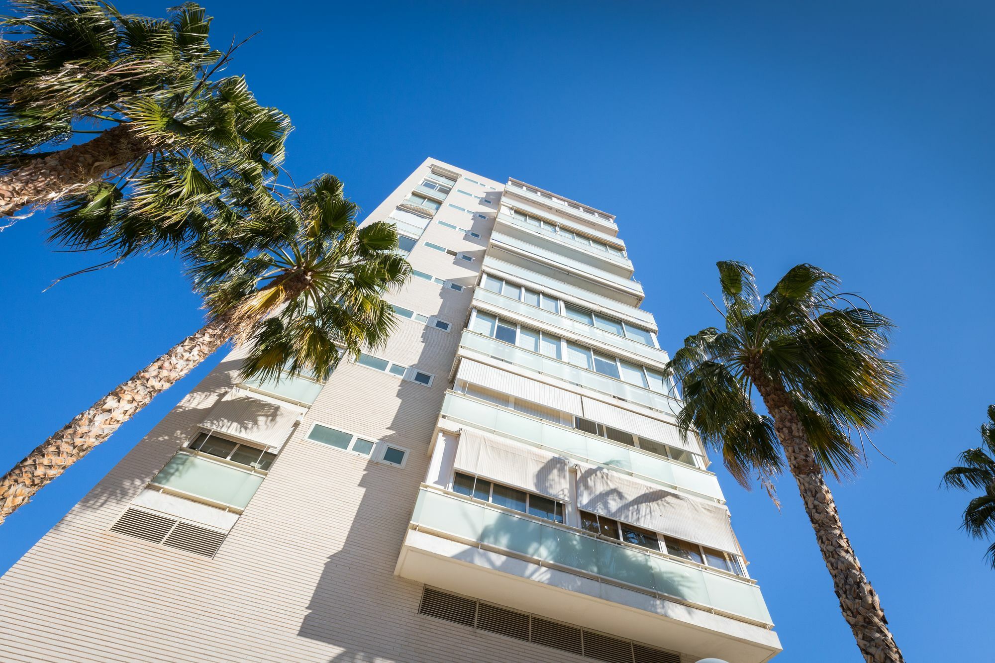 Palm House Apartamento