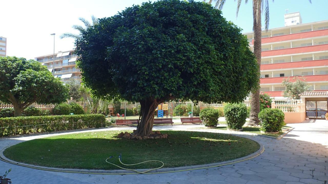 Tortuga Flat * Alicante