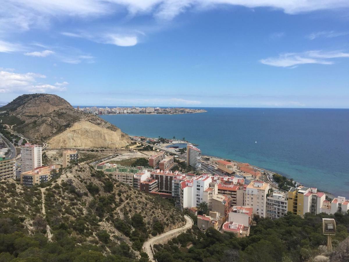 Ginger Alicante