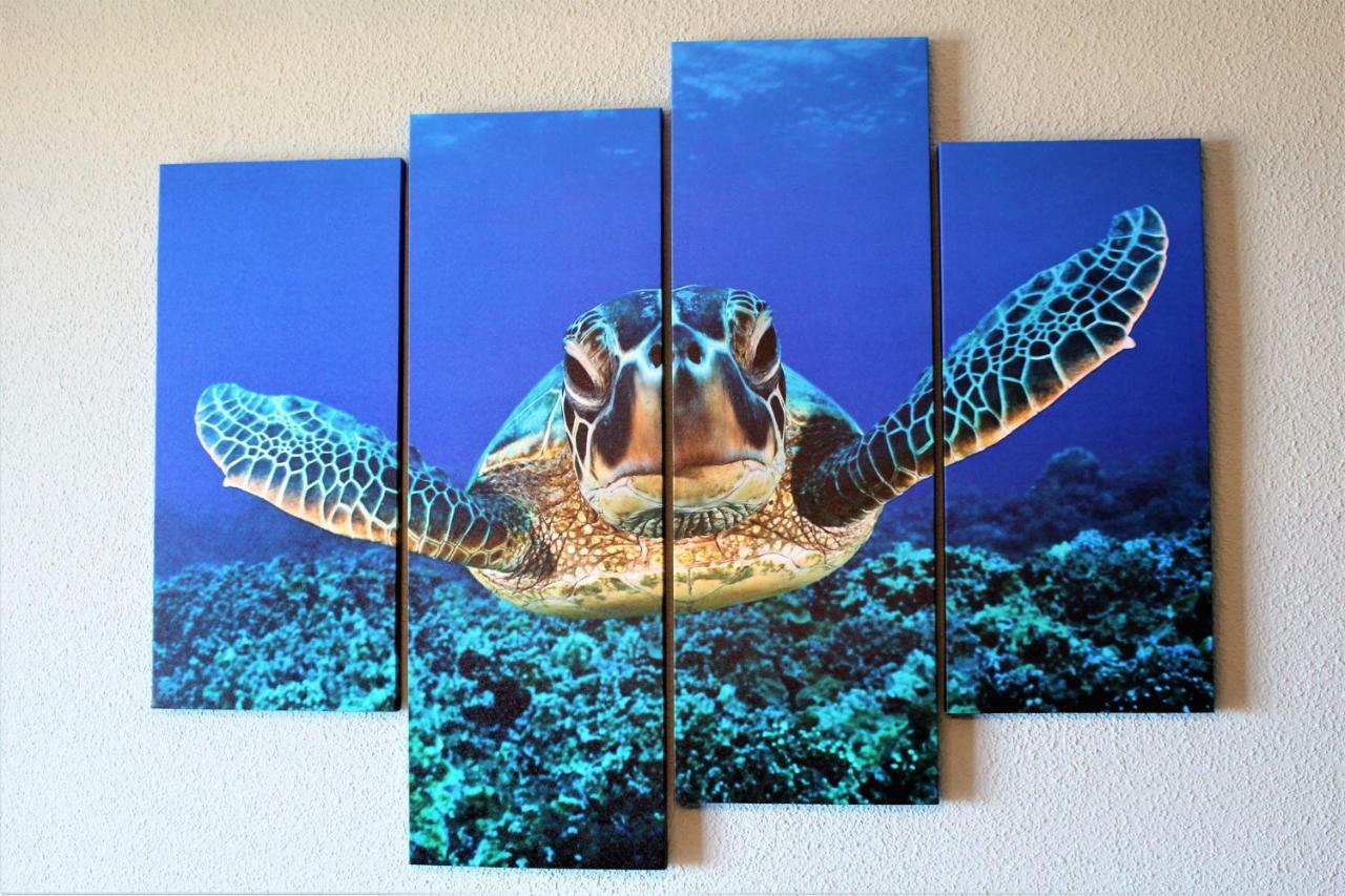 Tortuga Flat Alicante