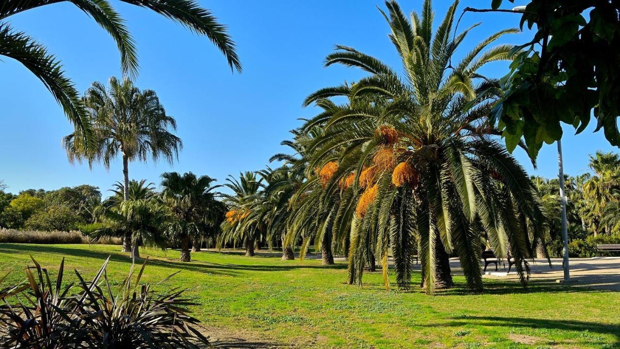 Apartment Myflats Brisas Del Sur Alicante